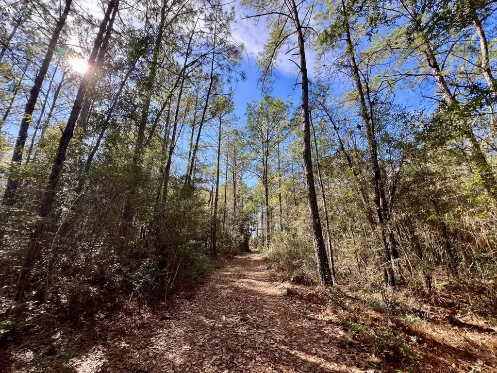 0 John Johnston Road Citronelle AL 36522