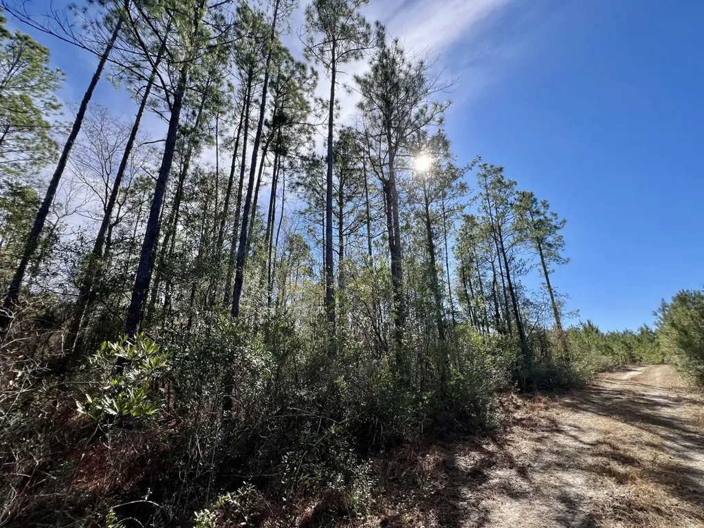 0 John Johnston Road Citronelle AL 36522