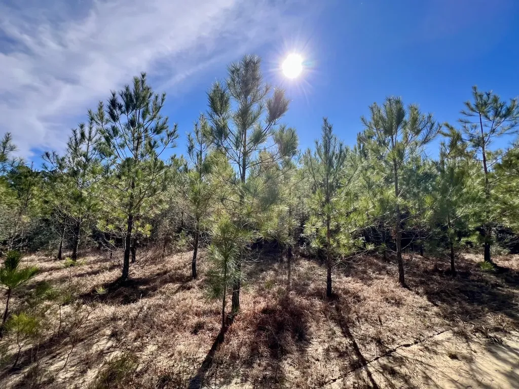 0 John Johnston Road Citronelle AL 36522