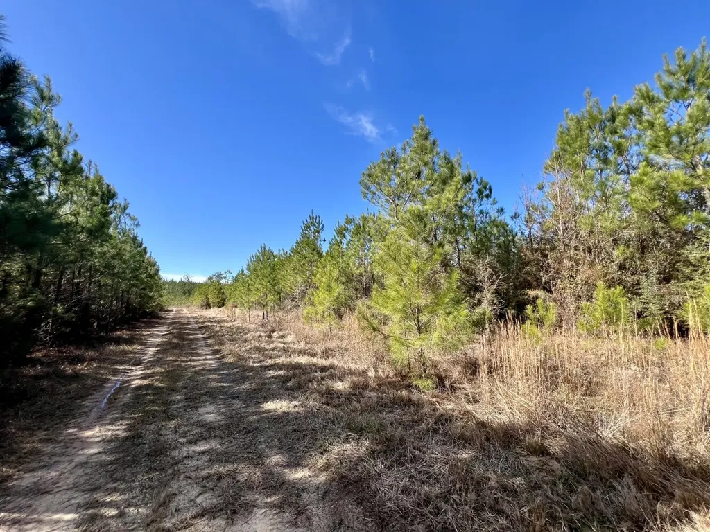 0 John Johnston Road Citronelle AL 36522