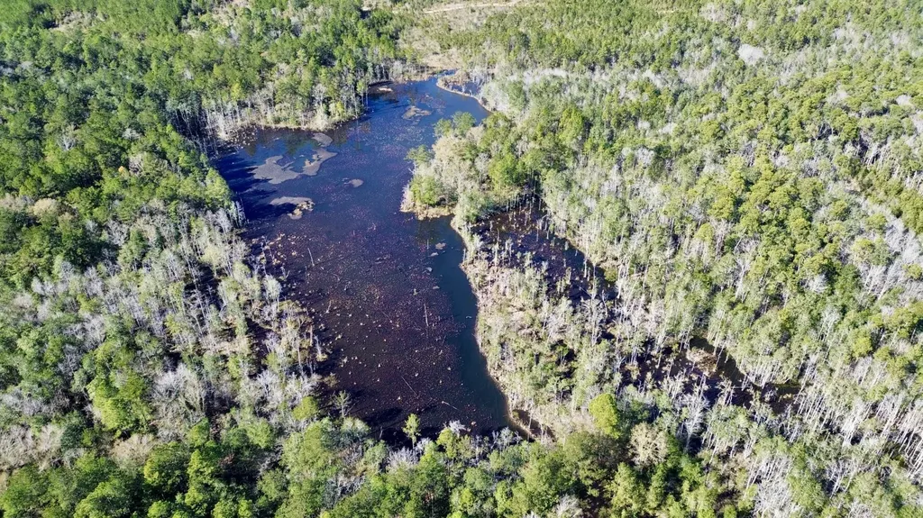 0 John Johnston Road Citronelle AL 36522