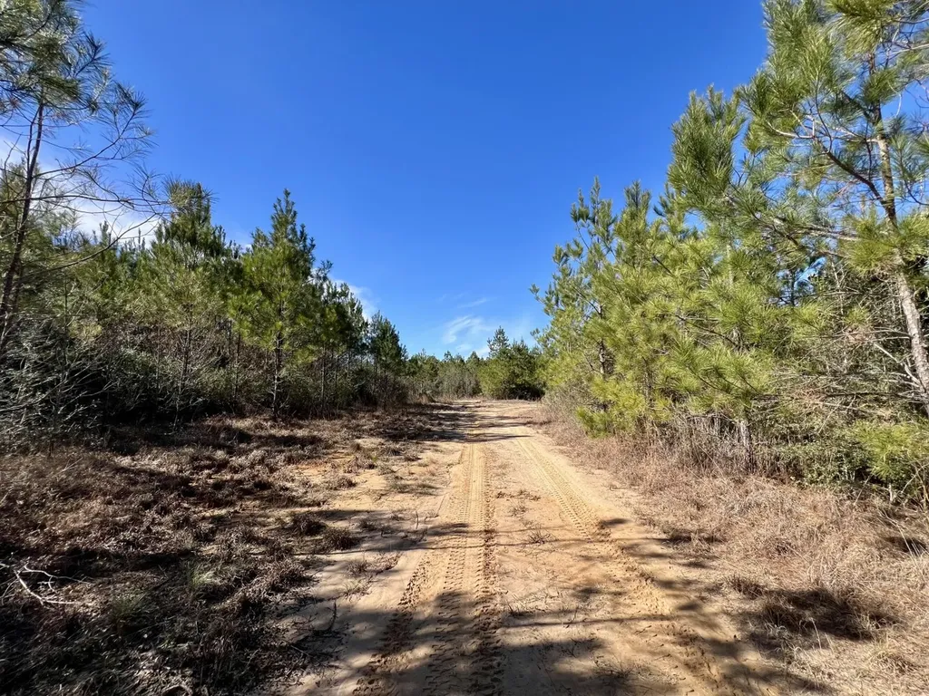 0 John Johnston Road Citronelle AL 36522