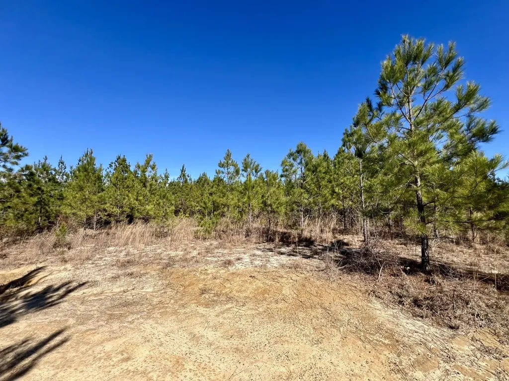 0 John Johnston Road Citronelle AL 36522