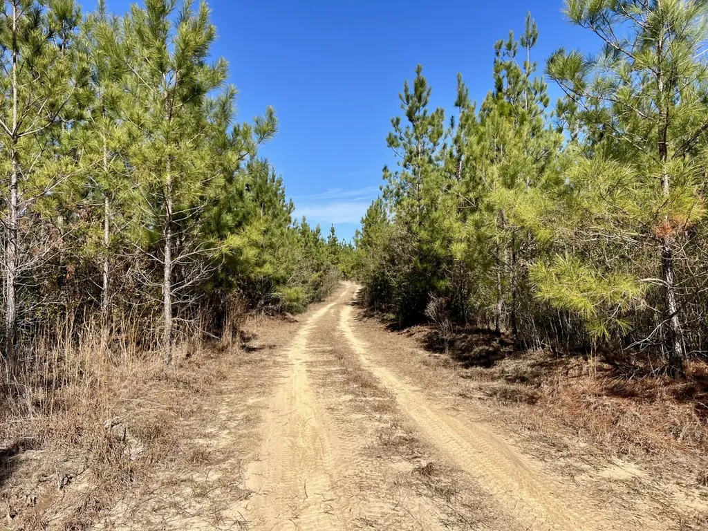 0 John Johnston Road Citronelle AL 36522