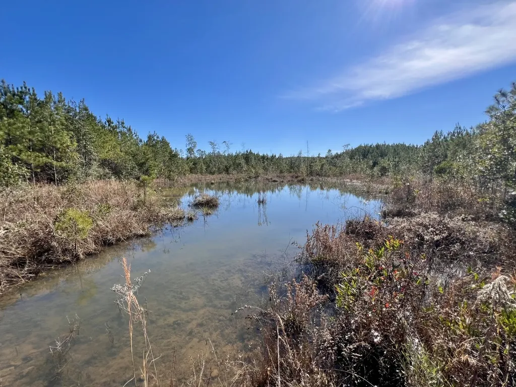 0 John Johnston Road Citronelle AL 36522