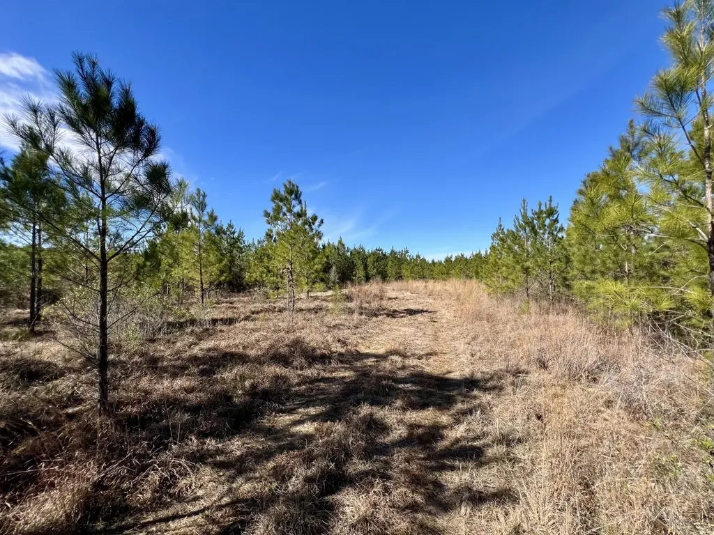 0 John Johnston Road Citronelle AL 36522