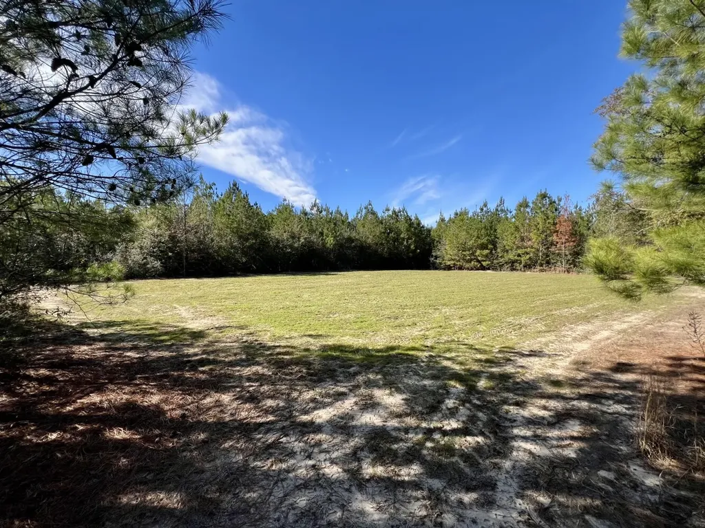 0 John Johnston Road Citronelle AL 36522