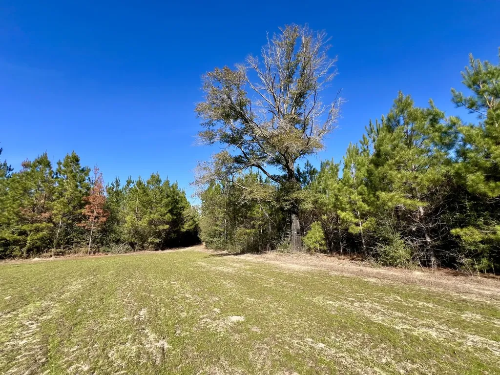 0 John Johnston Road Citronelle AL 36522