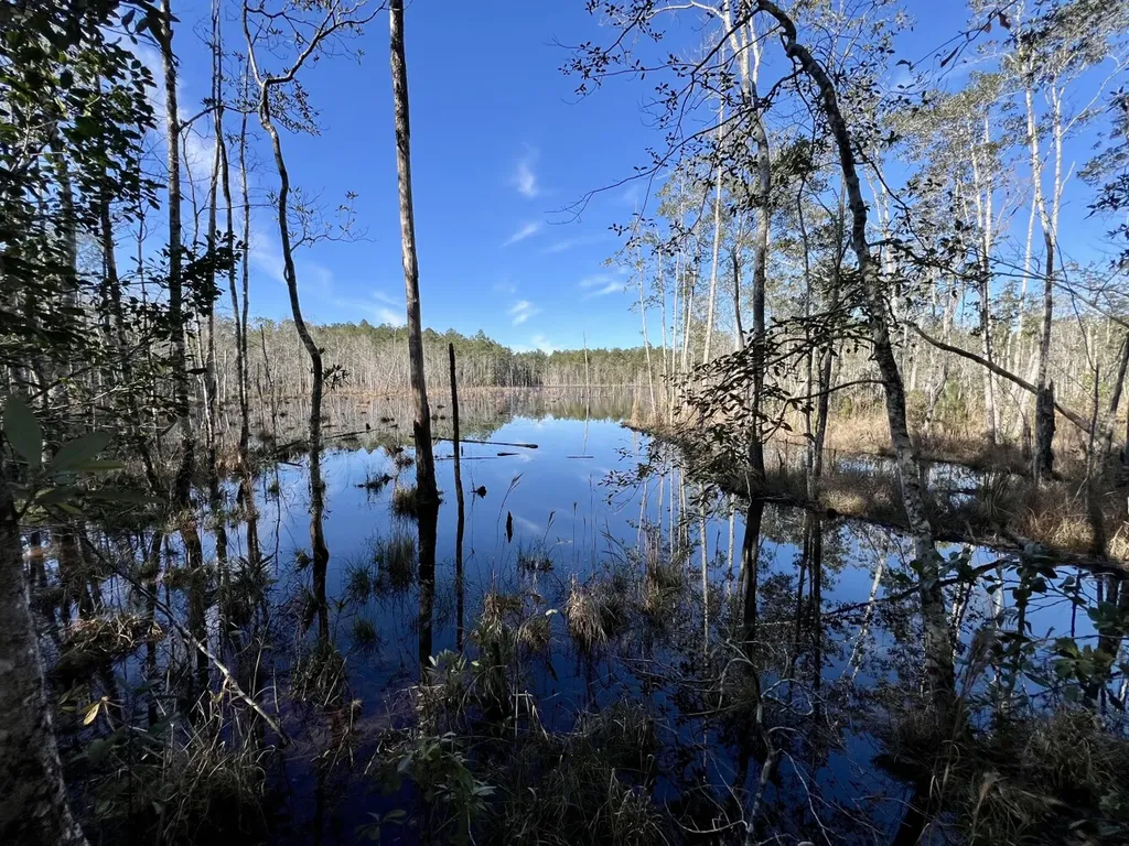 0 John Johnston Road Citronelle AL 36522