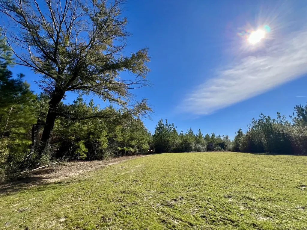 0 John Johnston Road Citronelle AL 36522