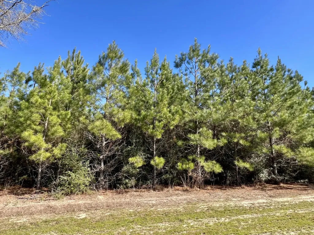 0 John Johnston Road Citronelle AL 36522