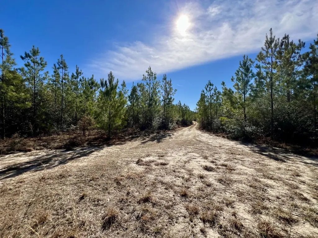 0 John Johnston Road Citronelle AL 36522