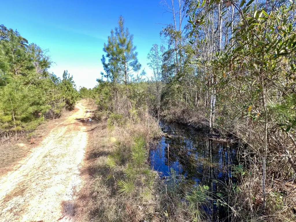 0 John Johnston Road Citronelle AL 36522