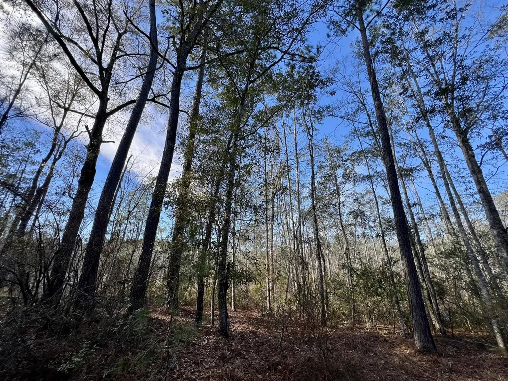 0 John Johnston Road Citronelle AL 36522