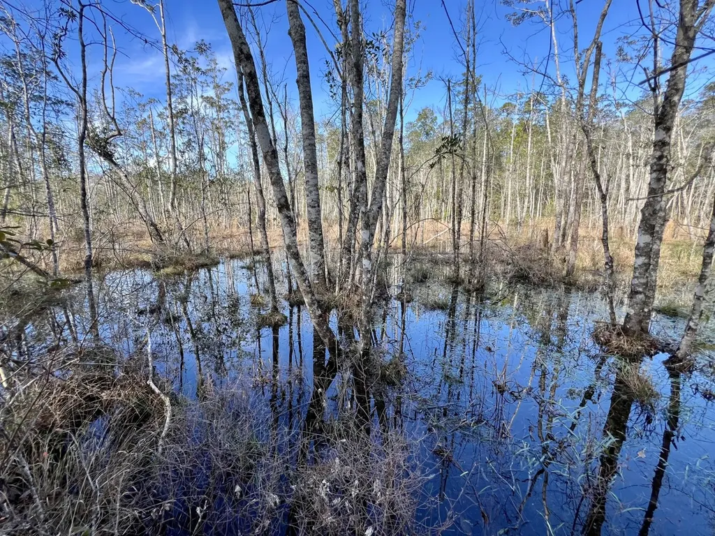 0 John Johnston Road Citronelle AL 36522