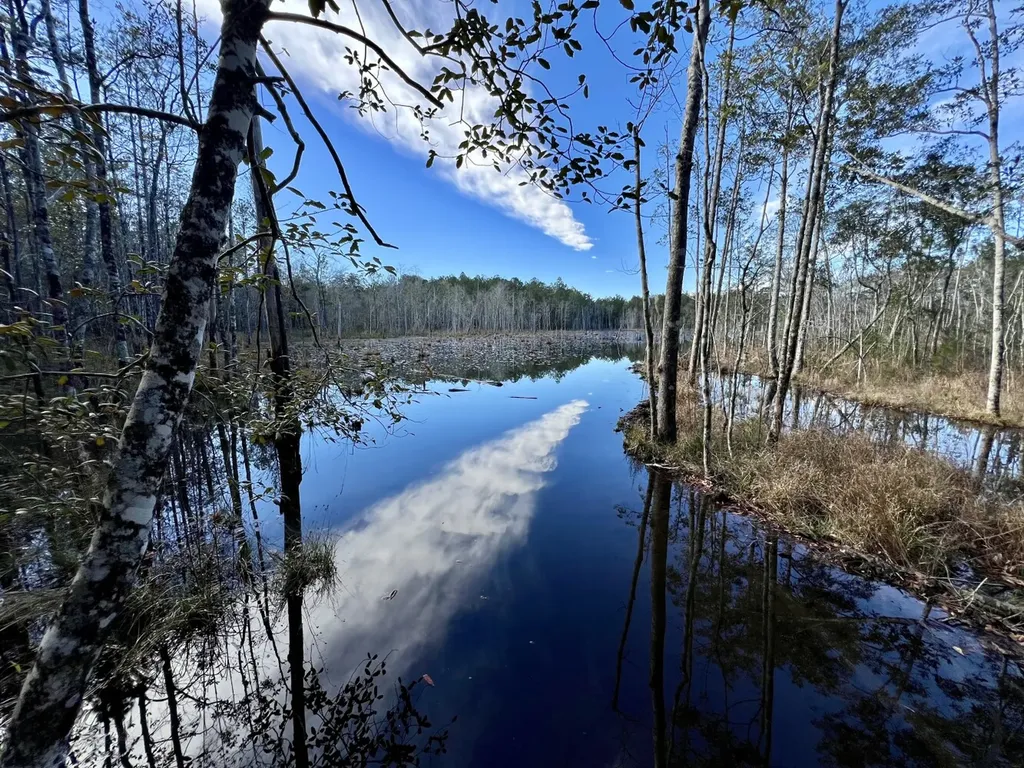 0 John Johnston Road Citronelle AL 36522