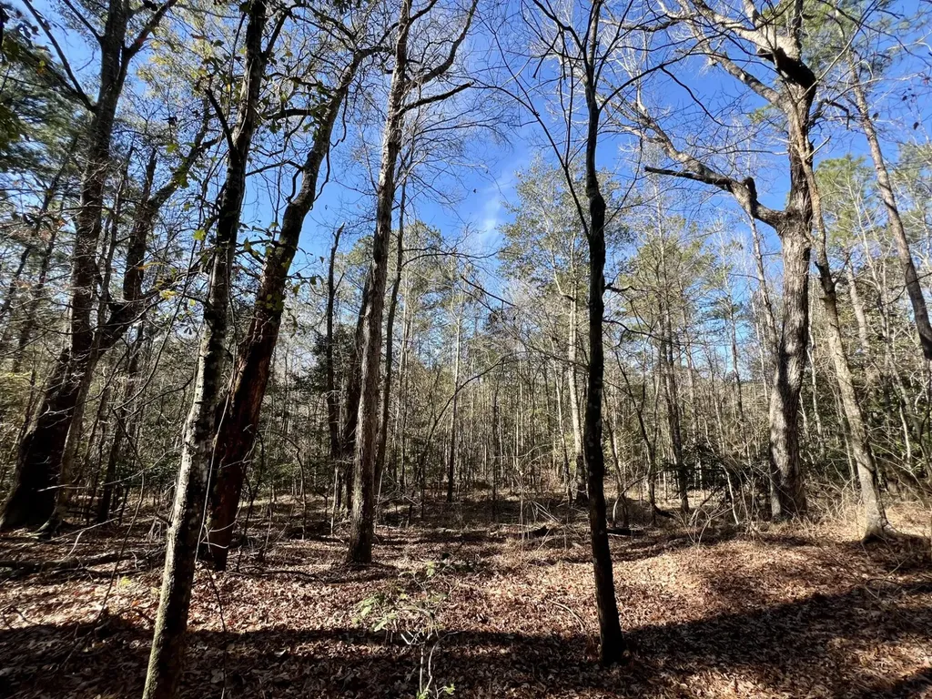 0 John Johnston Road Citronelle AL 36522