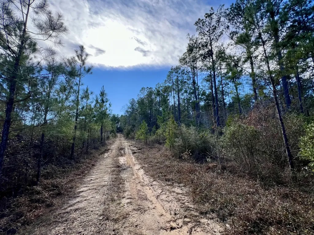 0 John Johnston Road Citronelle AL 36522