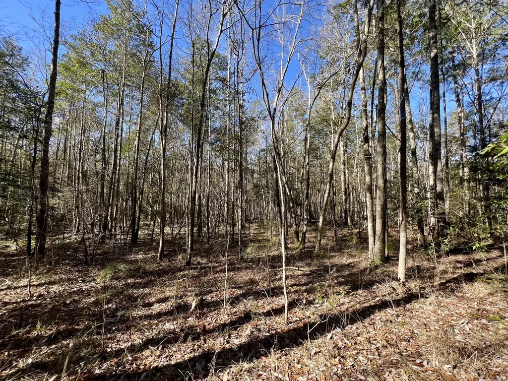 0 John Johnston Road Citronelle AL 36522