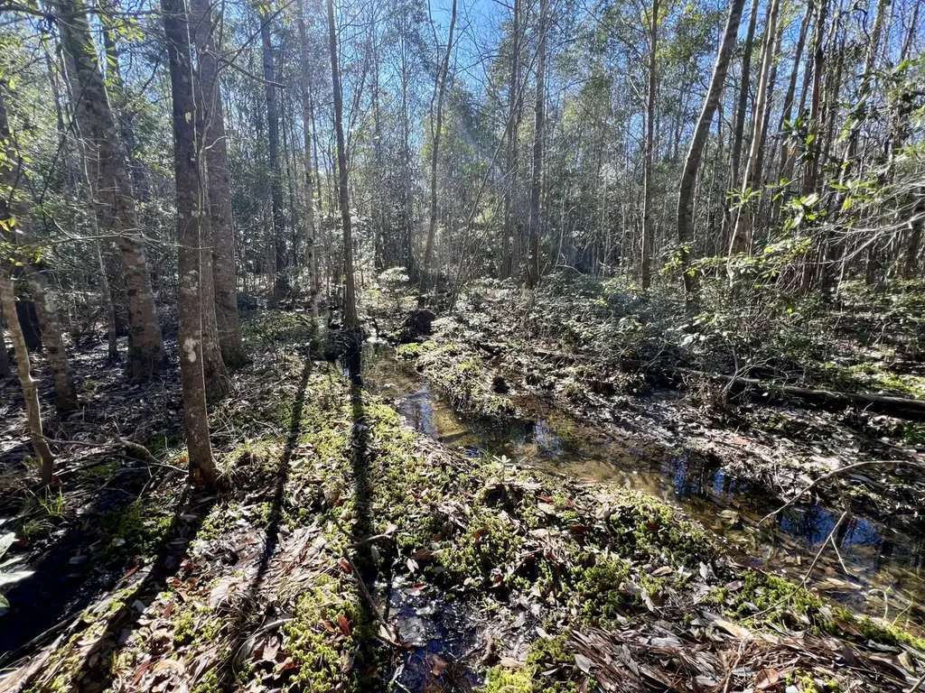 0 John Johnston Road Citronelle AL 36522