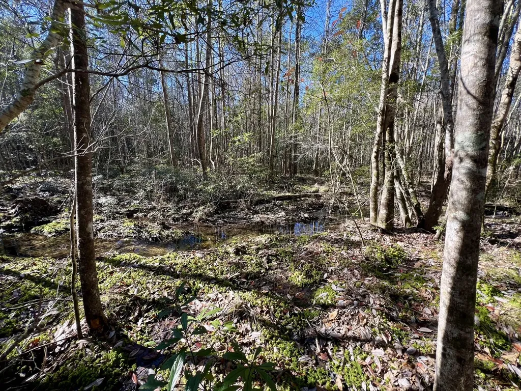 0 John Johnston Road Citronelle AL 36522