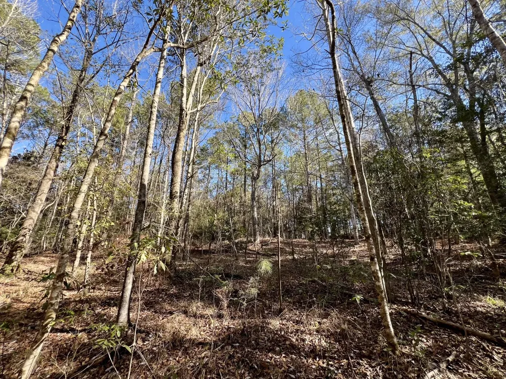 0 John Johnston Road Citronelle AL 36522