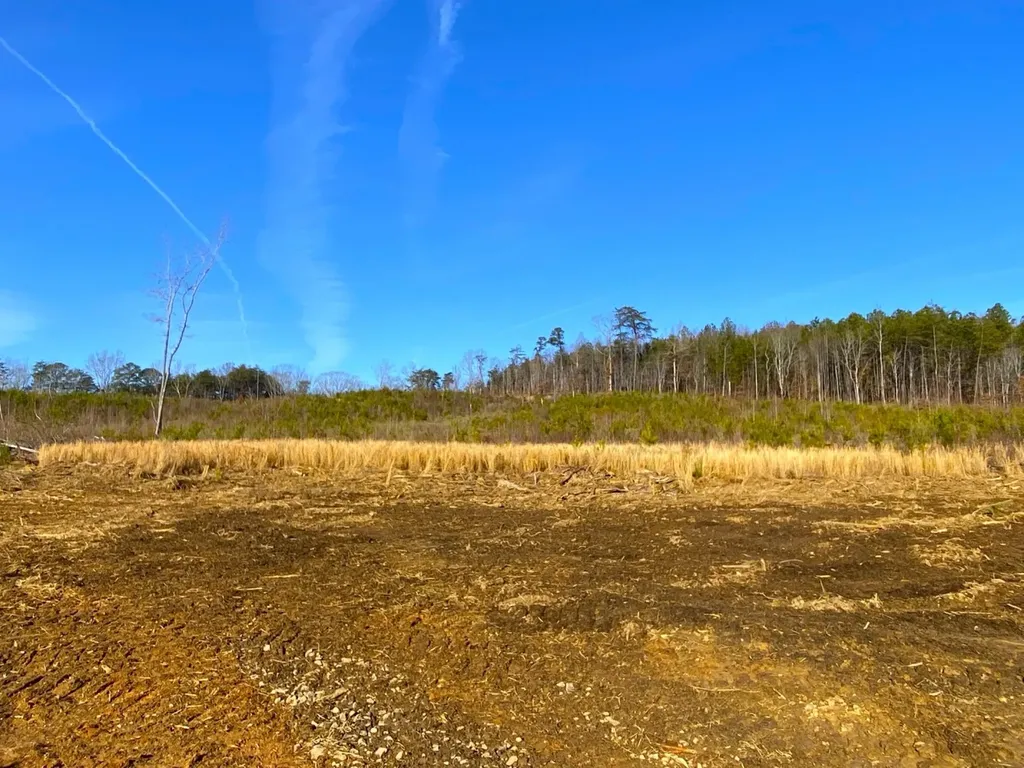 0 Frozen Hollow Road Carbon Hill AL 35549