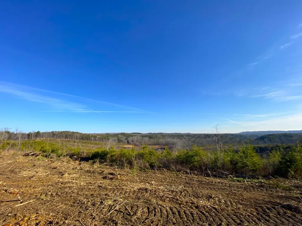 0 Frozen Hollow Road Carbon Hill AL 35549