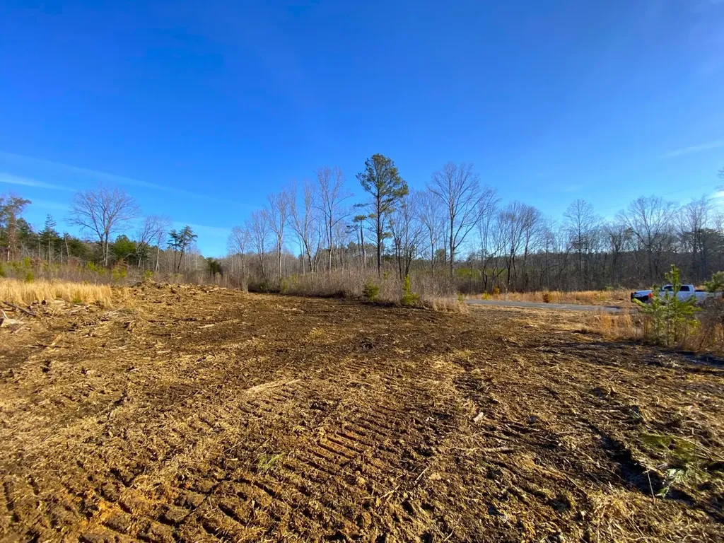 0 Frozen Hollow Road Carbon Hill AL 35549