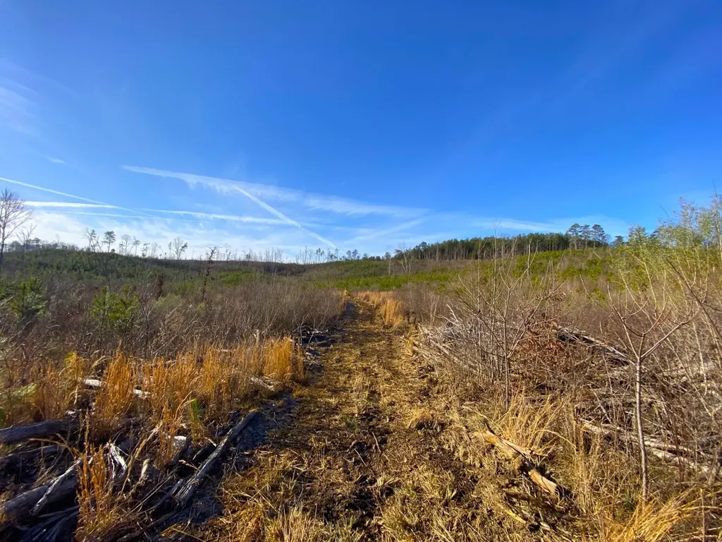 0 Frozen Hollow Road Carbon Hill AL 35549