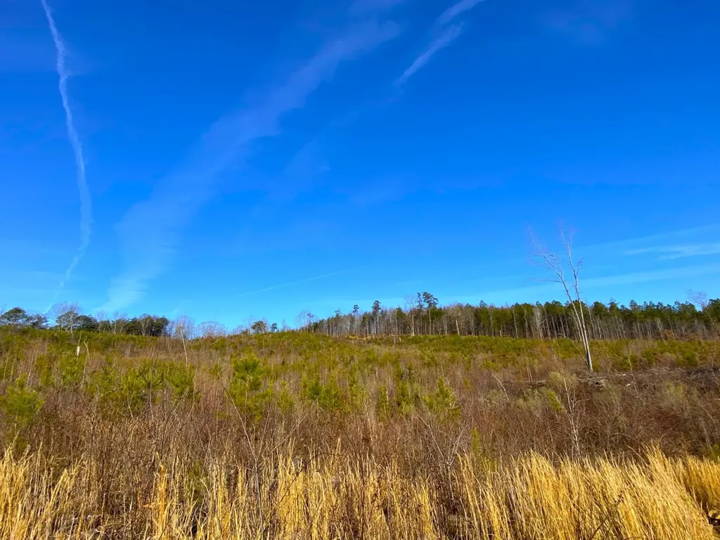 0 Frozen Hollow Road Carbon Hill AL 35549