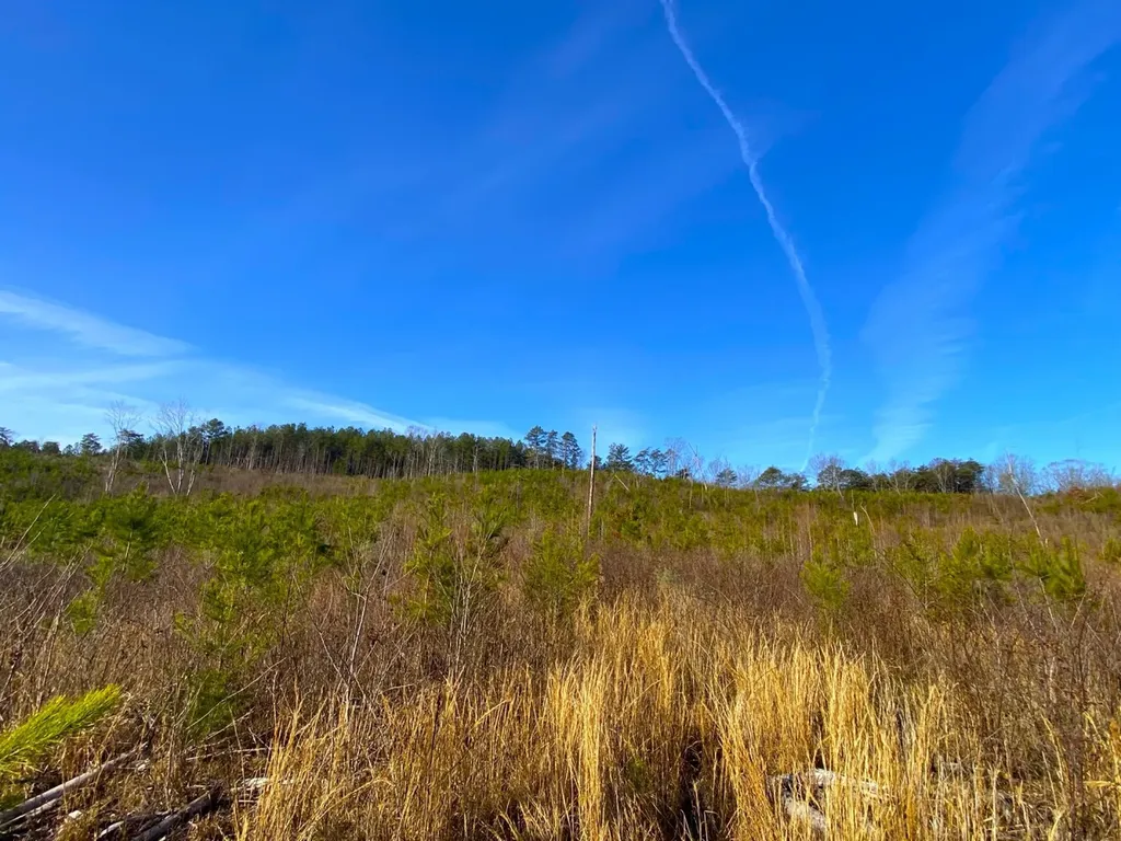 0 Frozen Hollow Road Carbon Hill AL 35549