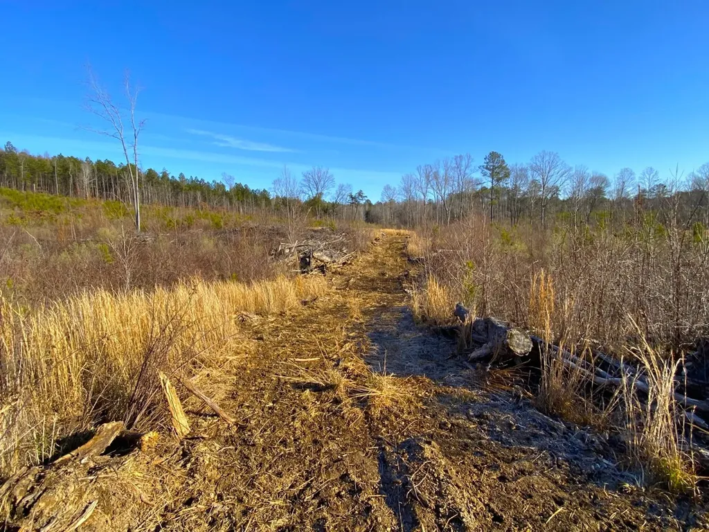 0 Frozen Hollow Road Carbon Hill AL 35549