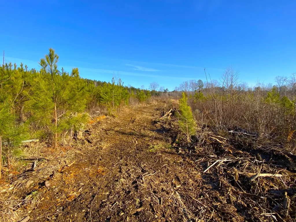 0 Frozen Hollow Road Carbon Hill AL 35549