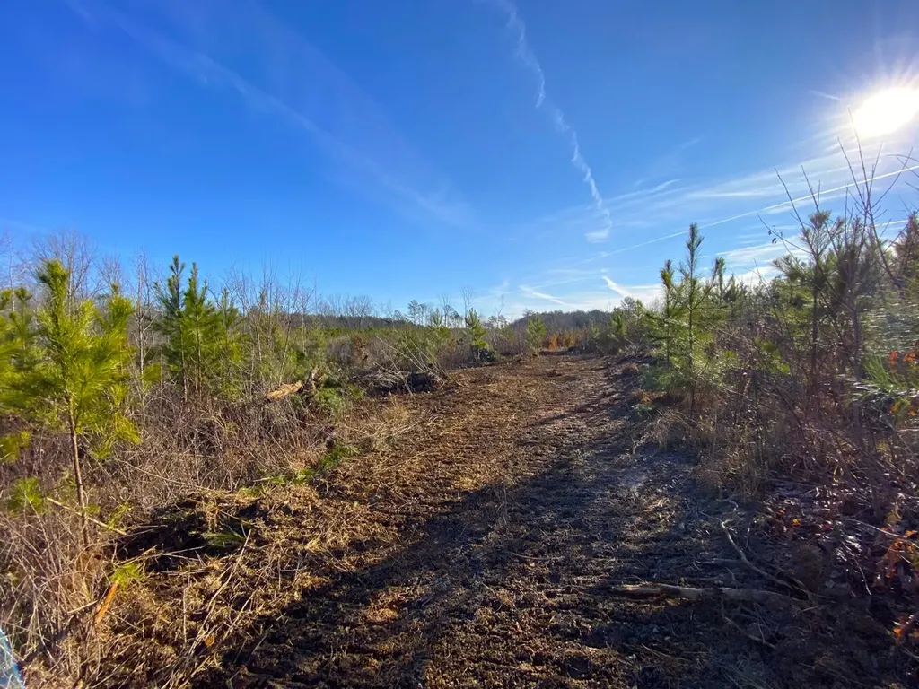 0 Frozen Hollow Road Carbon Hill AL 35549