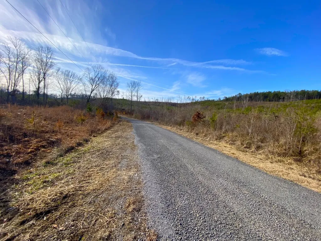 0 Frozen Hollow Road Carbon Hill AL 35549