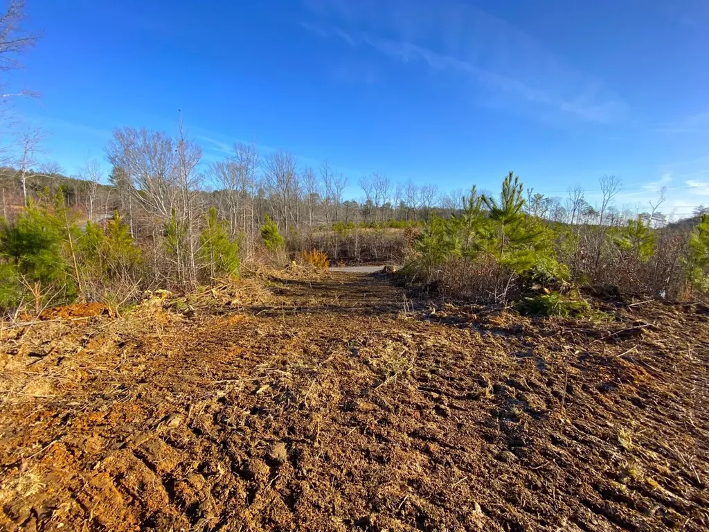 0 Frozen Hollow Road Carbon Hill AL 35549