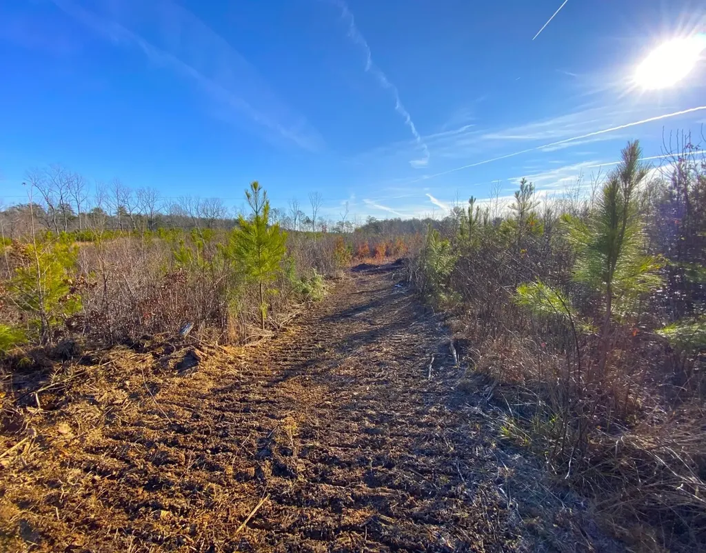 0 Frozen Hollow Road Carbon Hill AL 35549