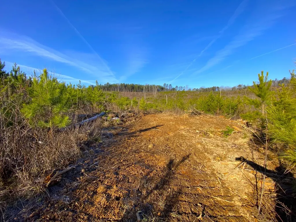 0 Frozen Hollow Road Carbon Hill AL 35549