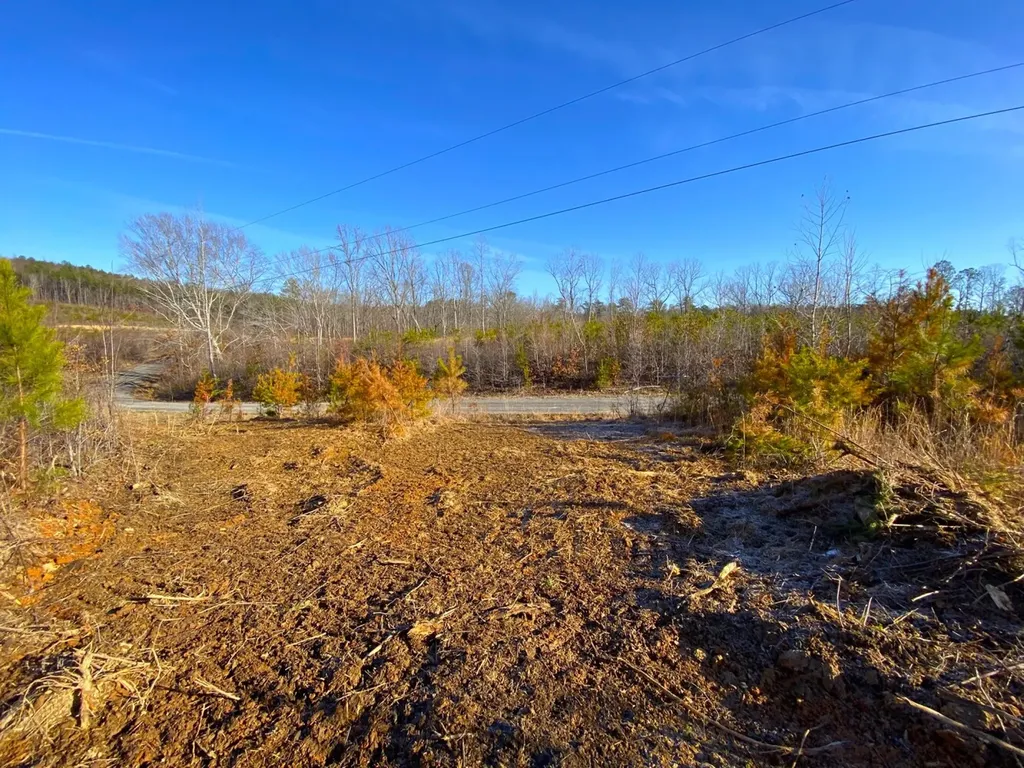 0 Frozen Hollow Road Carbon Hill AL 35549