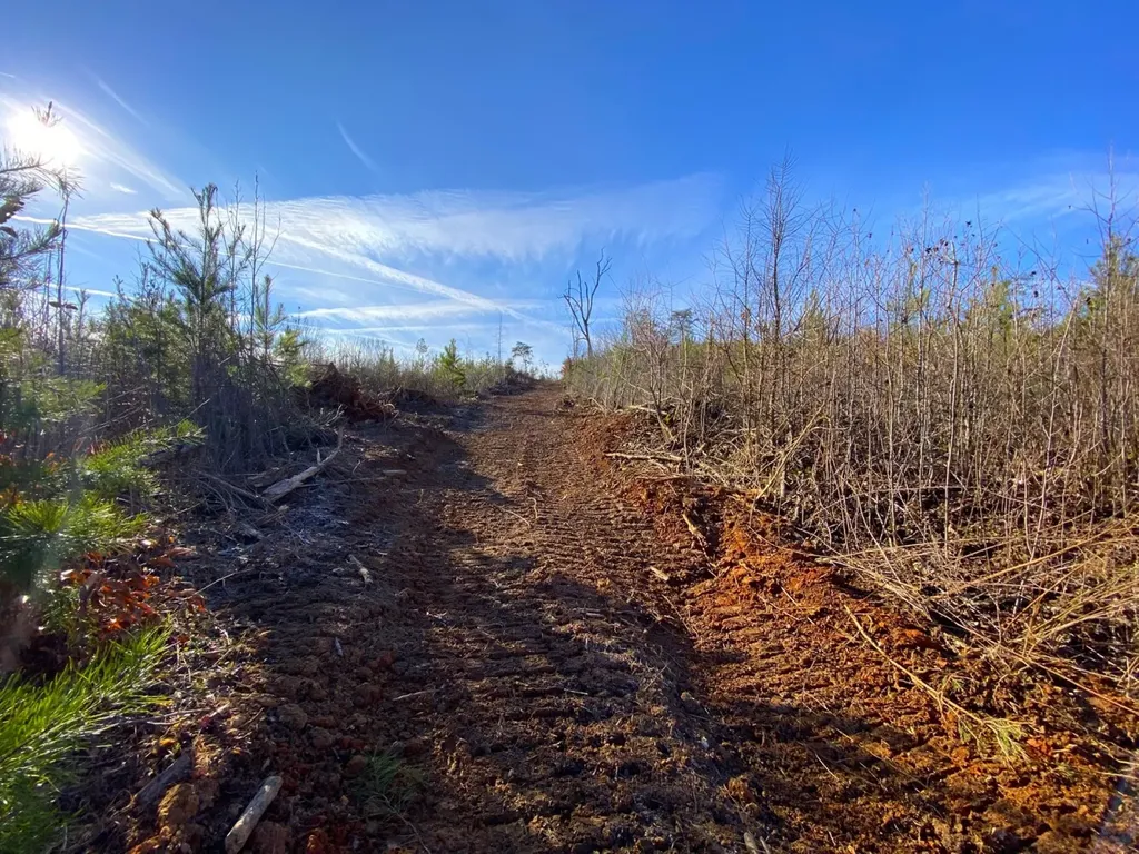 0 Frozen Hollow Road Carbon Hill AL 35549