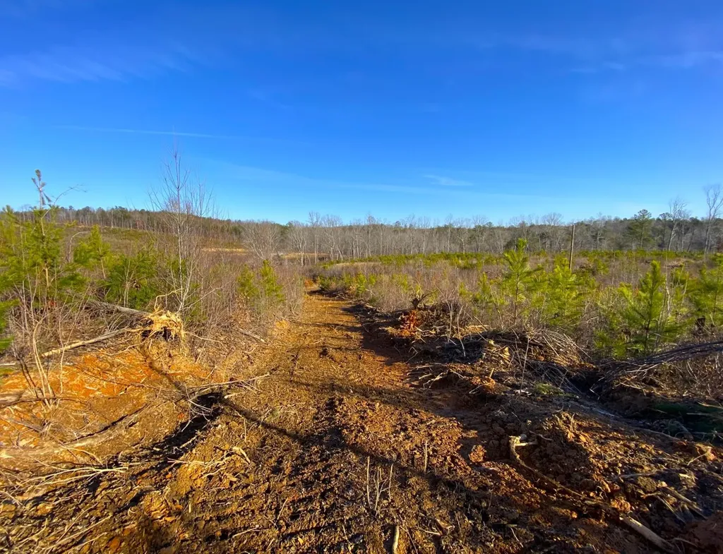 0 Frozen Hollow Road Carbon Hill AL 35549