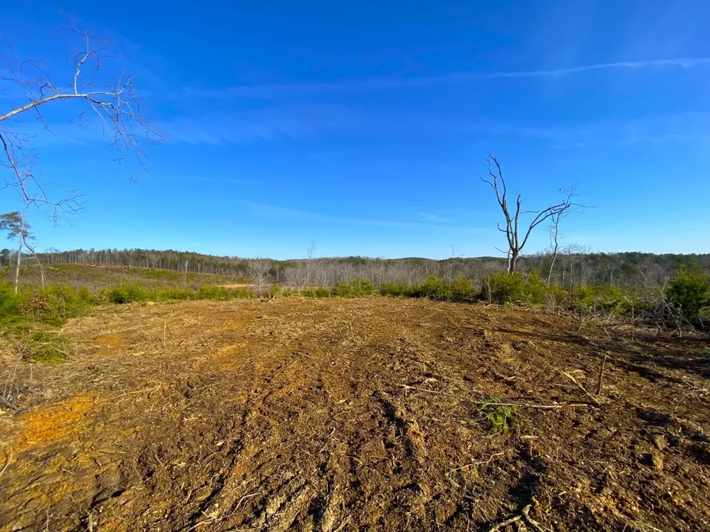 0 Frozen Hollow Road Carbon Hill AL 35549