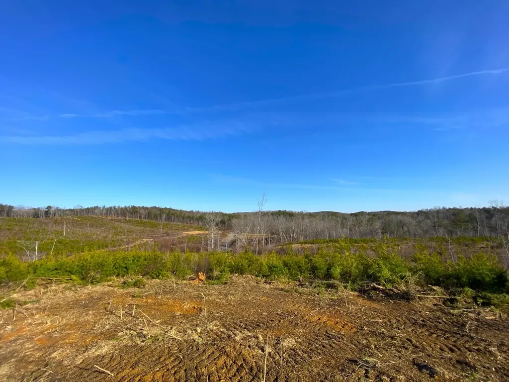 0 Frozen Hollow Road Carbon Hill AL 35549