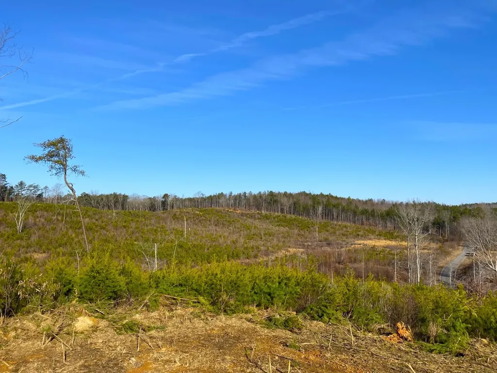 0 Frozen Hollow Road Carbon Hill AL 35549