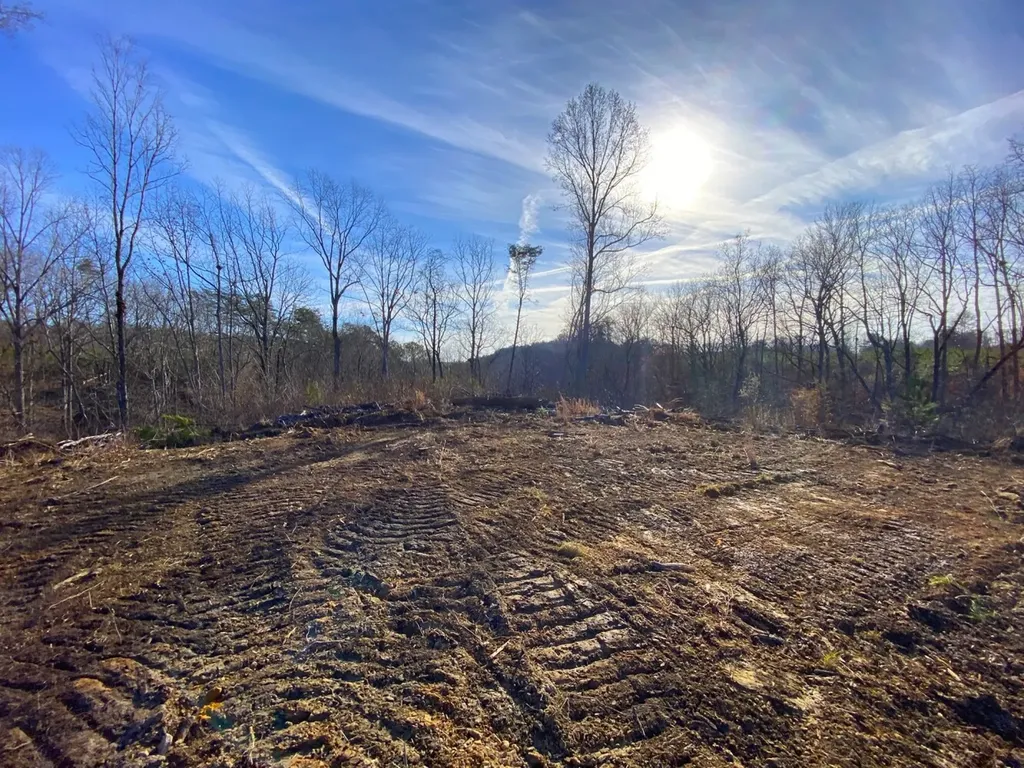 0 Frozen Hollow Road Carbon Hill AL 35549