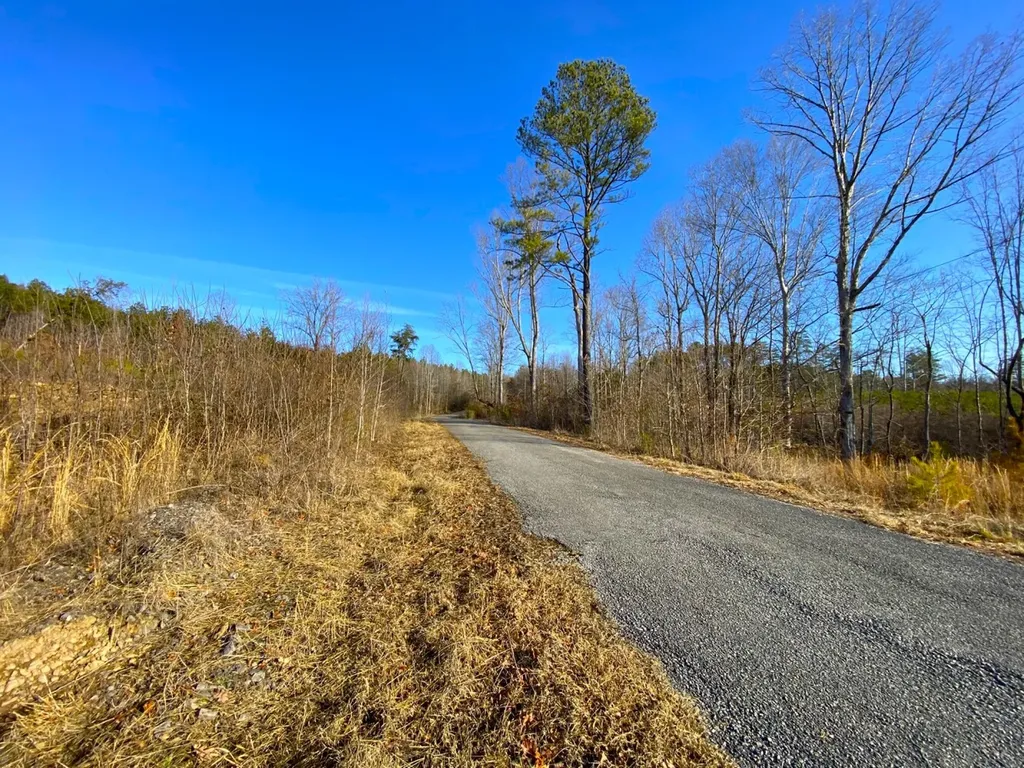 0 Frozen Hollow Road Carbon Hill AL 35549