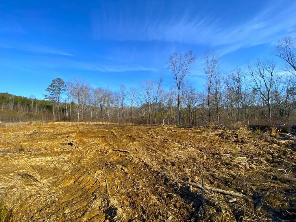 0 Frozen Hollow Road Carbon Hill AL 35549