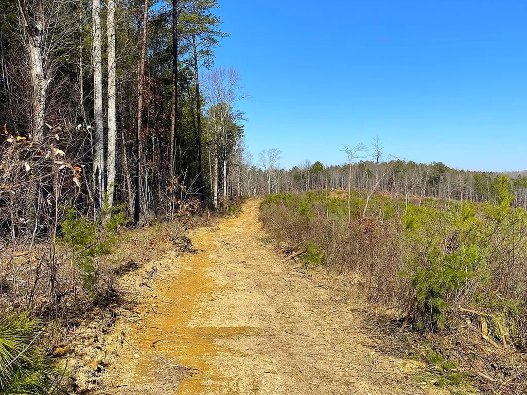 0 Frozen Hollow Road Carbon Hill AL 35549