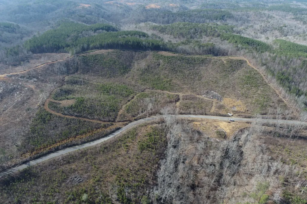 0 Frozen Hollow Road Carbon Hill AL 35549